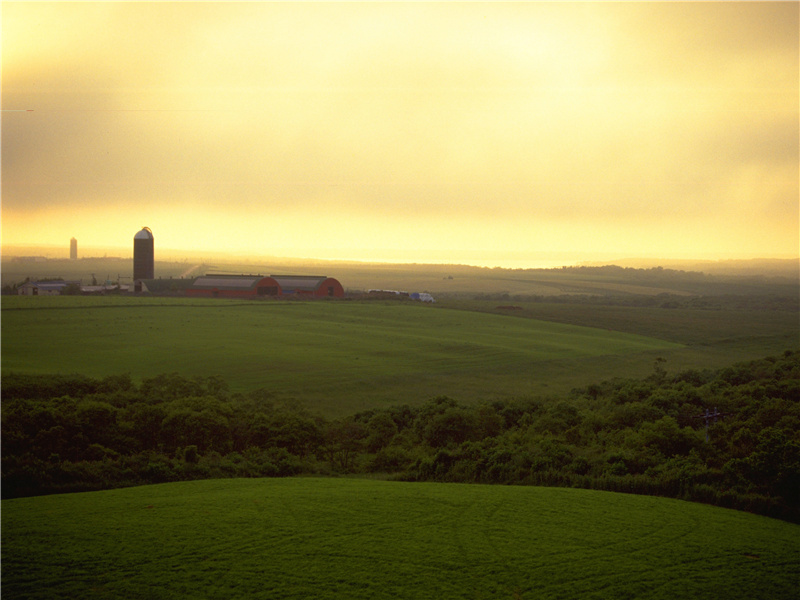 若遇早梅开,一枝应寄来出处意思赏析