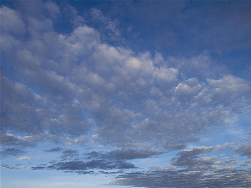 正当今夕断肠处,骊歌愁绝不忍听出处意思赏析