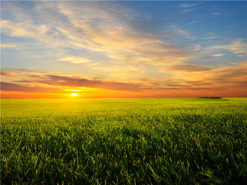 岭猿同旦暮,江柳共风烟的出处意思赏析