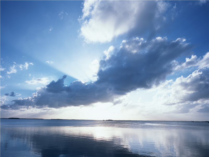 青烟幂处,碧海飞金镜.永夜闲阶卧桂影的意思出处赏析