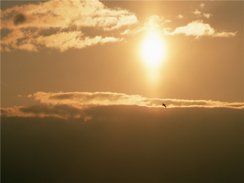 秋风吹木叶,还似洞庭波出处意思赏析