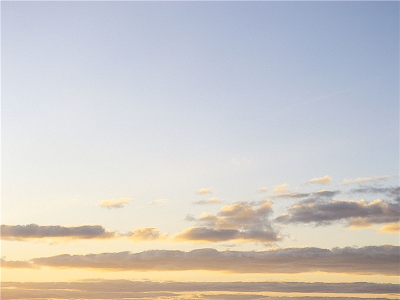 应共冤魂语,投诗赠汨罗的意思出处赏析