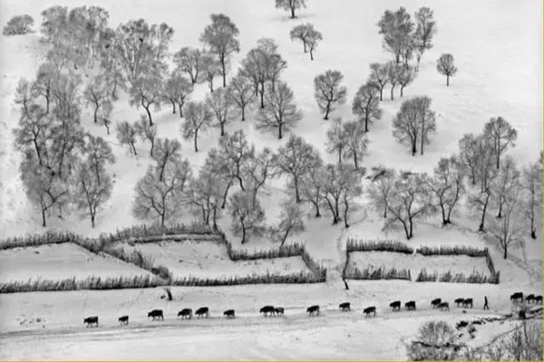 绍兴十三年发皇后册宝十三首·其六原文注释译文赏析-郊庙朝会歌辞诗词-宋诗全集