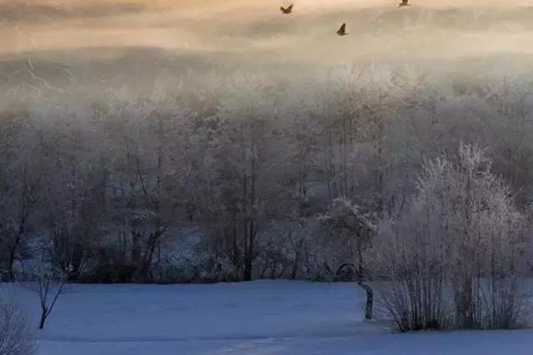 游云居寺赠穆三十六地主原文注释译文赏析-白居易诗词-唐诗全集