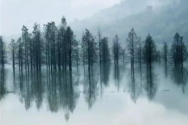 雨原文注释译文赏析-杜甫诗词-唐诗全集