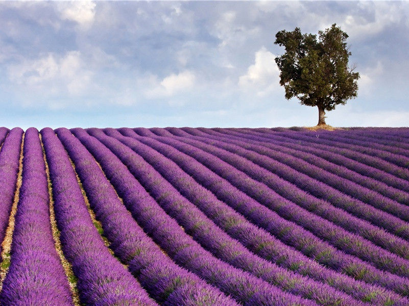 吴楚东南坼,乾坤日夜浮名句出处赏析故事