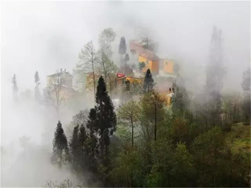 有熊有罴,有猫有虎,庆既令居,韩姞燕誉出处意思赏析