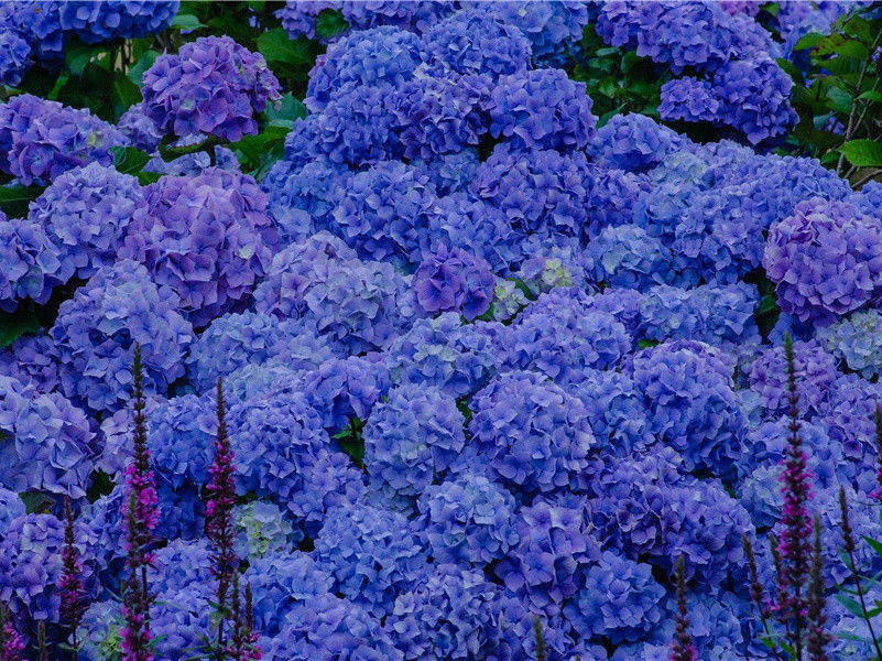 石笋半山移步险,桂花当洞拂衣轻出处意思赏析