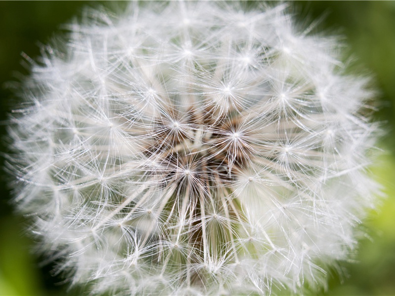 浮云游子意,落日故人情名句出处赏析故事