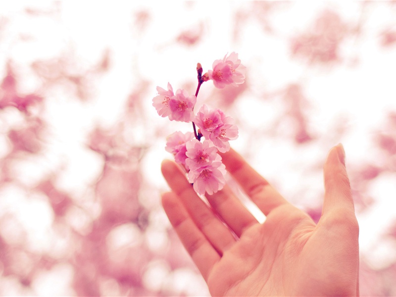 客至-原文注释翻译赏析杜甫古诗)