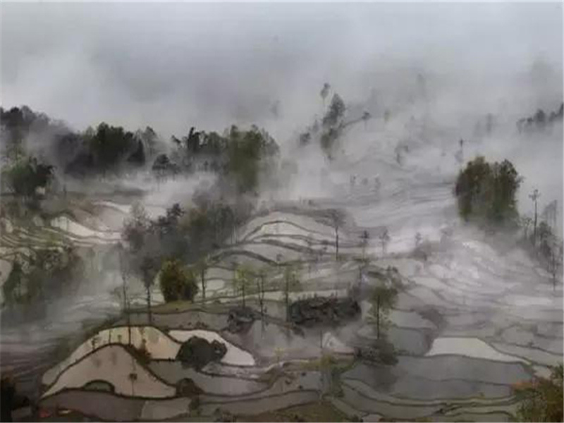 君埋泉下泥销骨,我寄人间雪满头出处意思赏析