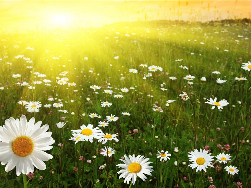 庾信平生最萧瑟,暮年诗赋动江关名句出处赏析故事