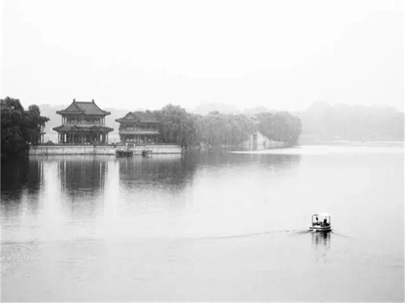 鸟啼花落人何在,竹死桐枯凤不来出处翻译赏析