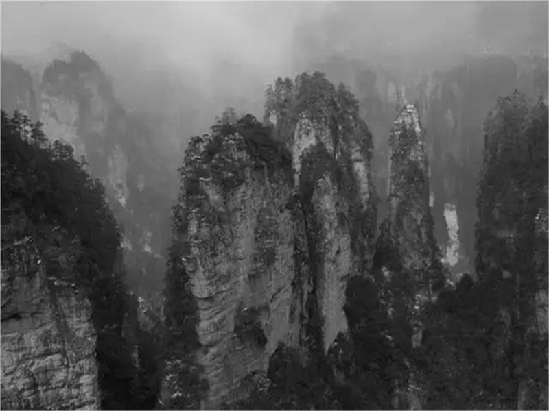 芳草无情,更在斜阳外出处意思赏析