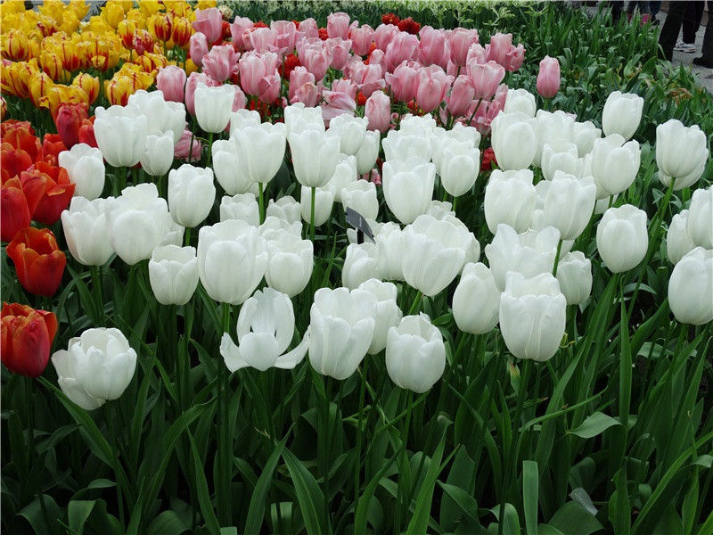 人生由命非由他,有酒不饮奈明何名句出处赏析故事