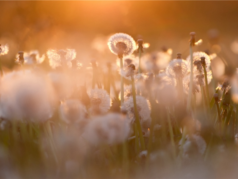 花门剺面请雪耻,慎勿出口他人狙的出处意思赏析
