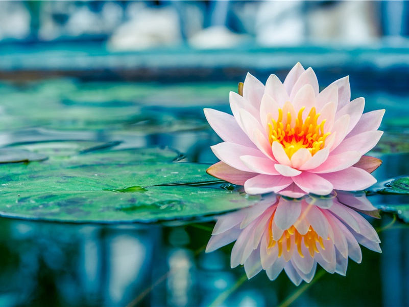 新安吏-原文注释翻译赏析杜甫古诗)