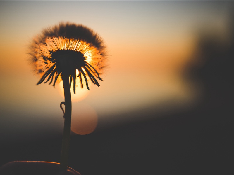 尔来从军天汉滨,南山晓雪玉嶙峋的出处意思赏析