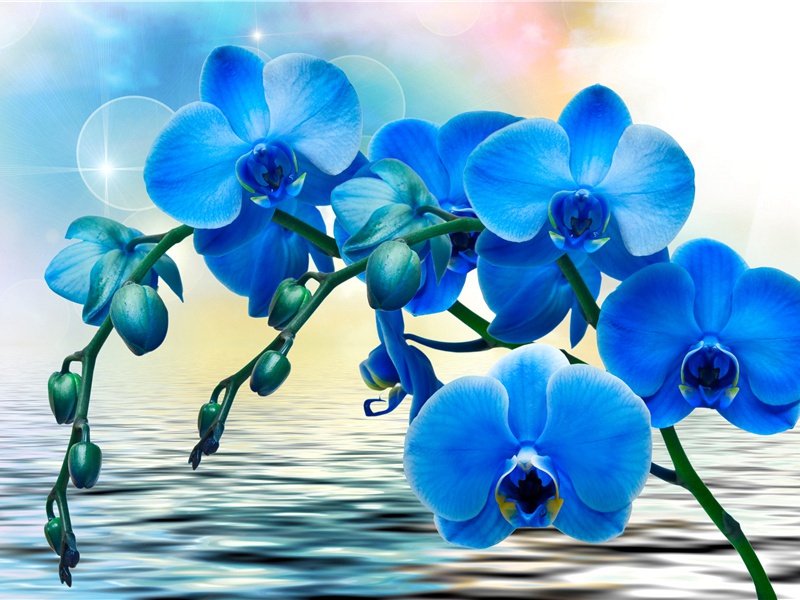 李商隐《贾生》赏析-唐诗排名第81名