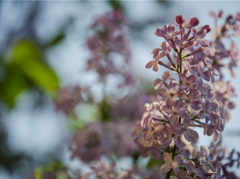 白也诗无敌,飘然思不群出处意思赏析