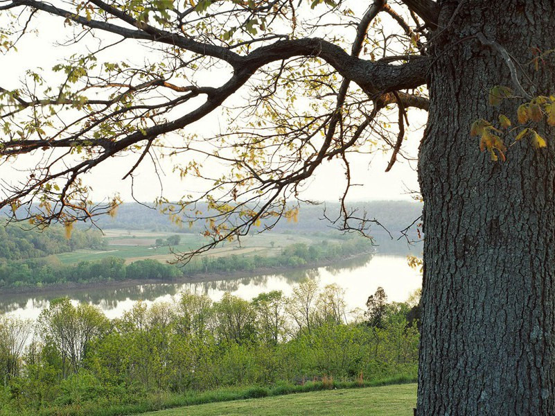 白也诗无敌,飘然思不群出处意思赏析