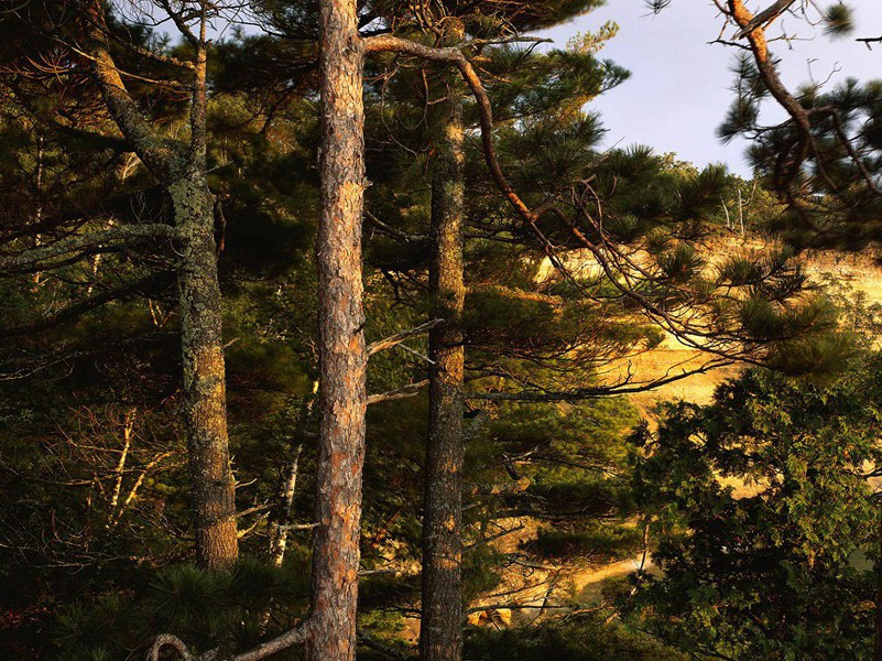 芙蓉旌旗烟雾落,影动倒景摇潇湘的出处意思赏析