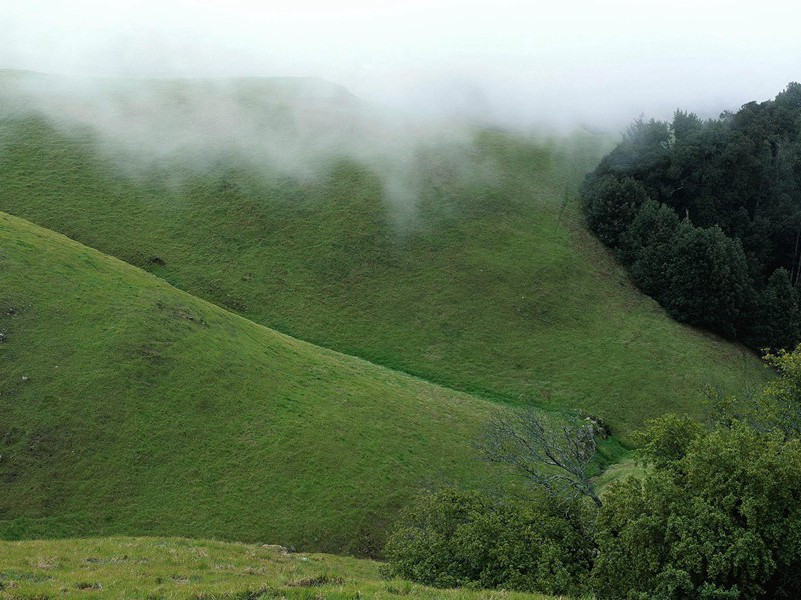 白也诗无敌,飘然思不群出处意思赏析