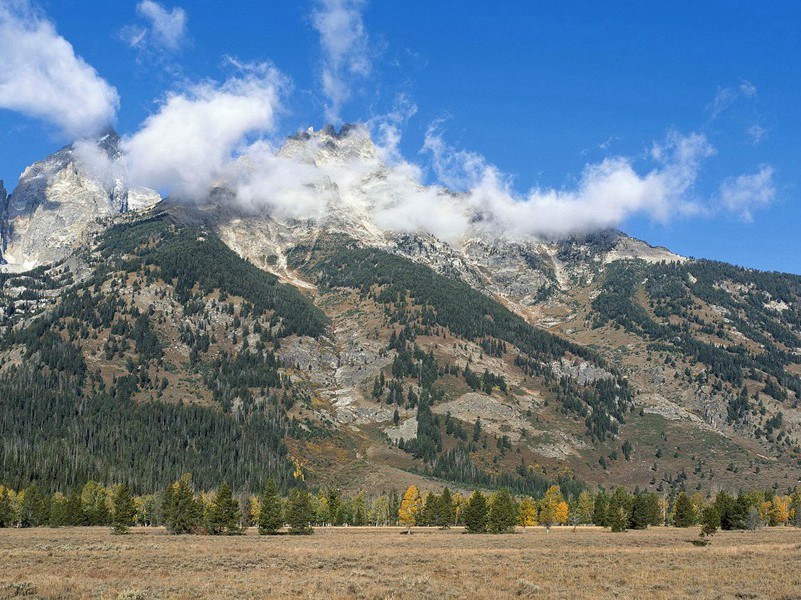 钱钱何难得,令我独憔悴出处意思赏析