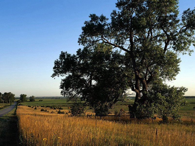 东风洒雨露,会入天地春出处翻译赏析