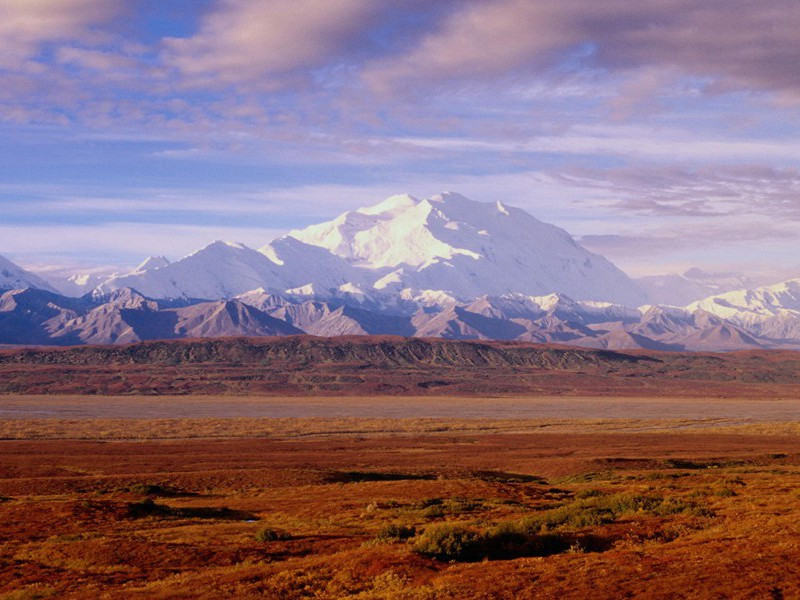 孤眠鸾帐里,枉劳魂梦,夜夜飞扬出处意思赏析