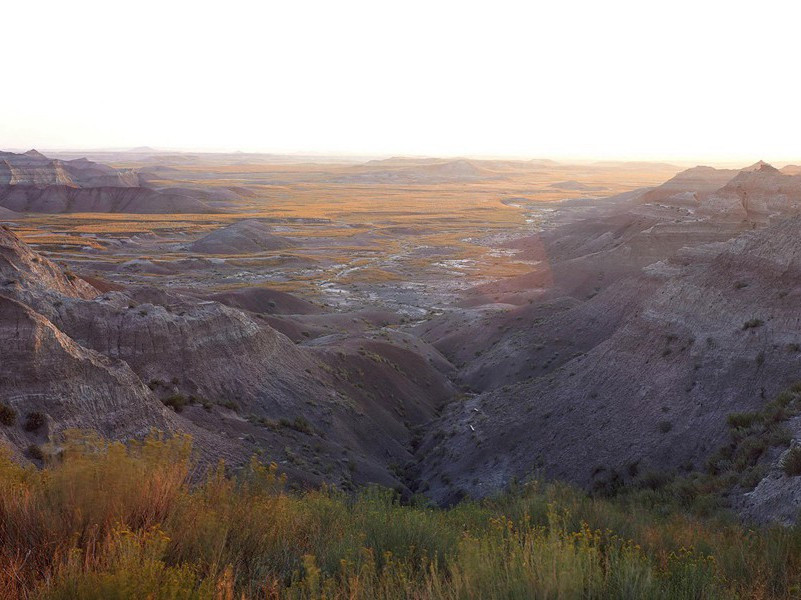 迟日园林悲昔游,今春花鸟作边愁出处翻译赏析