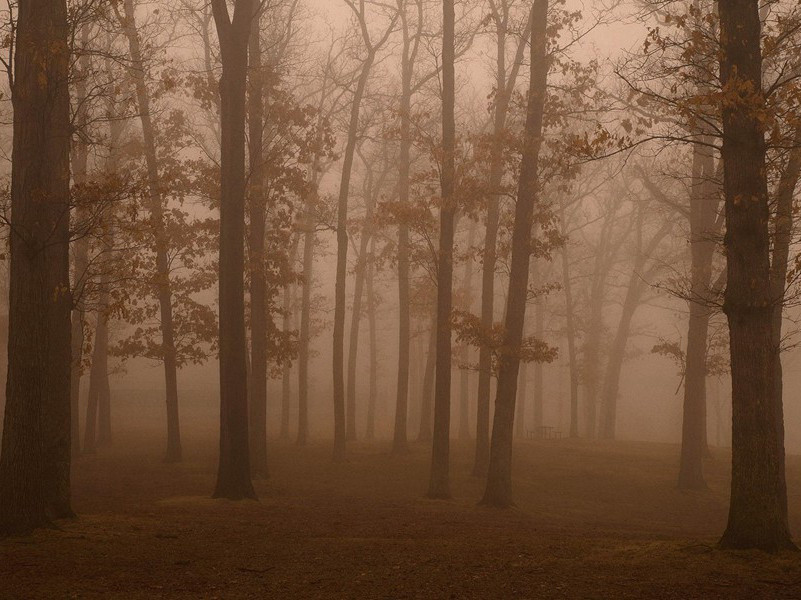 遥见仙人彩云里,手把芙蓉朝玉京的出处意思赏析