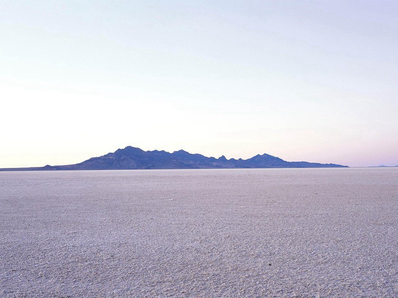 老翁逾墙走,老妇出门看出处意思赏析