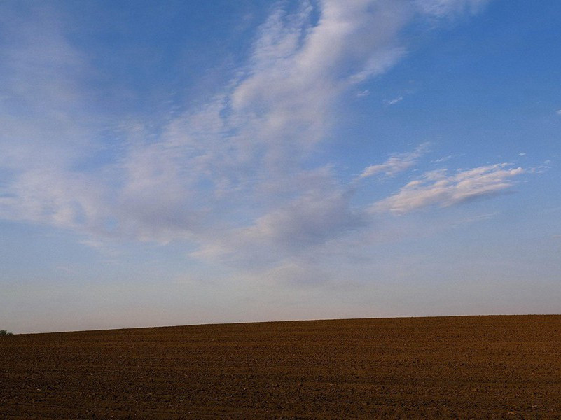 魂飞庾岭春难辨,霞隔罗浮梦未通出处意思赏析