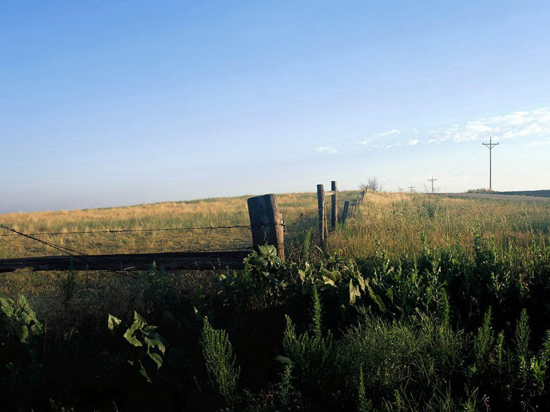 律回岁晚冰霜少,春到人间草木知出处意思赏析