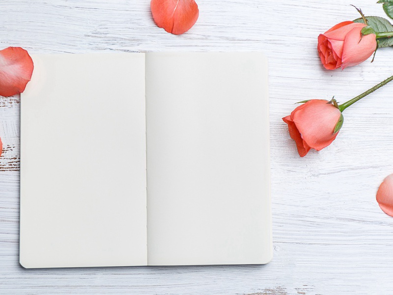 此时瞻白兔,直欲数秋毫出处意思赏析