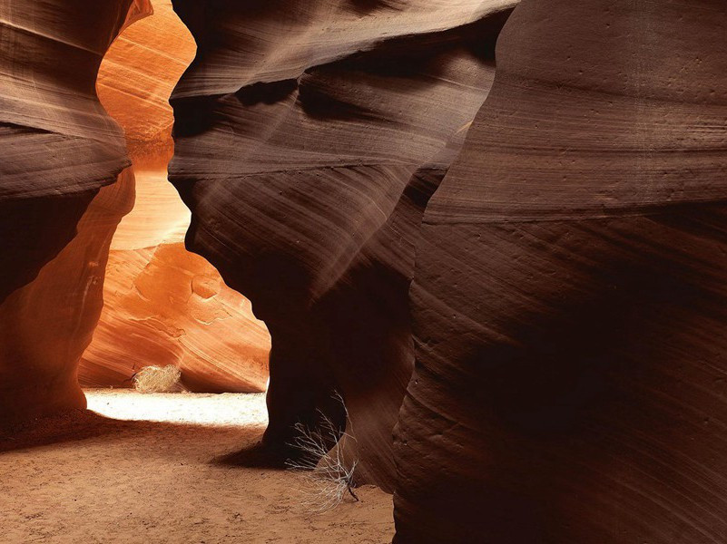 浮云终日行,游子久不至的出处意思赏析