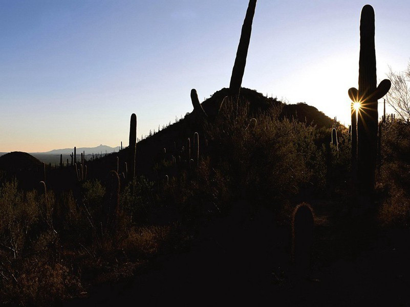 艰难苦恨繁霜鬓,潦倒新停浊酒杯出处赏析