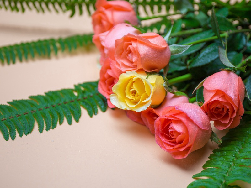 牛靿咤咤,田确确,旱块敲牛蹄趵趵出处翻译赏析