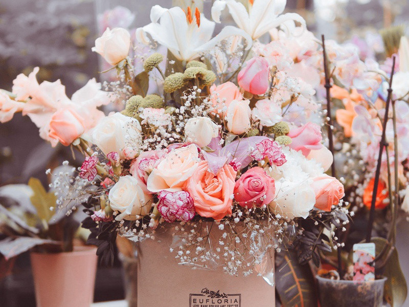 努力尽今夕,少年犹可夸出处翻译赏析