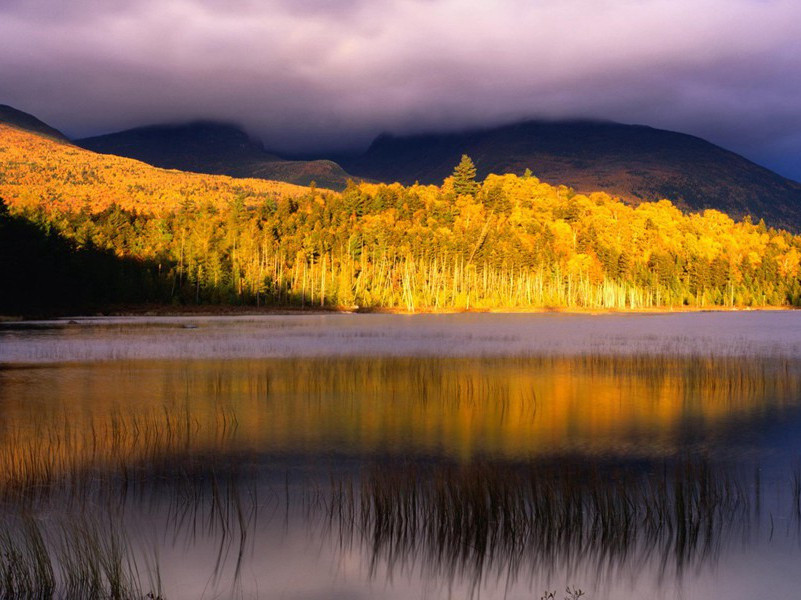 《小暑六月节》赏析-[唐]元稹古诗