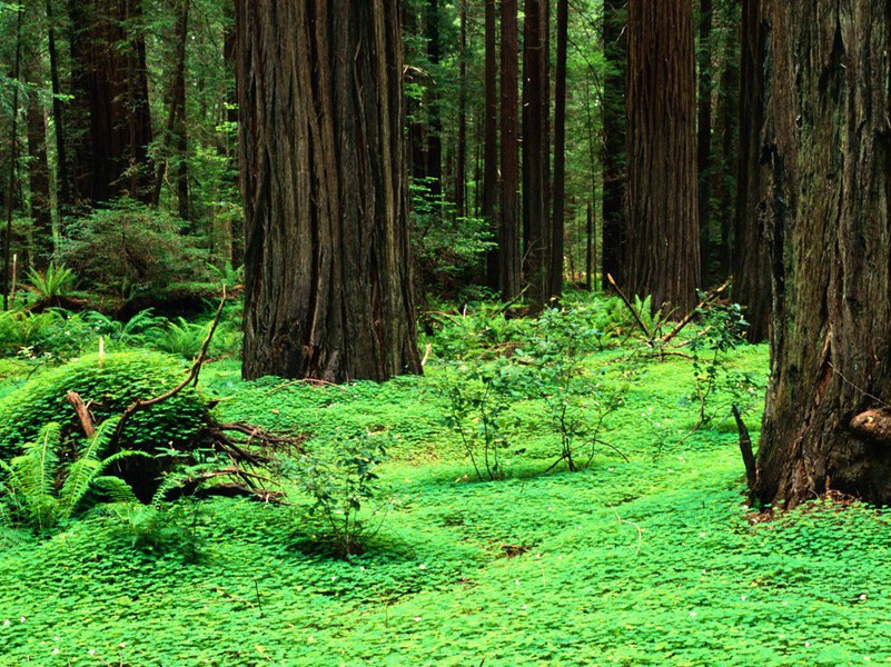 奇文共欣赏,疑义相与析出处翻译赏析