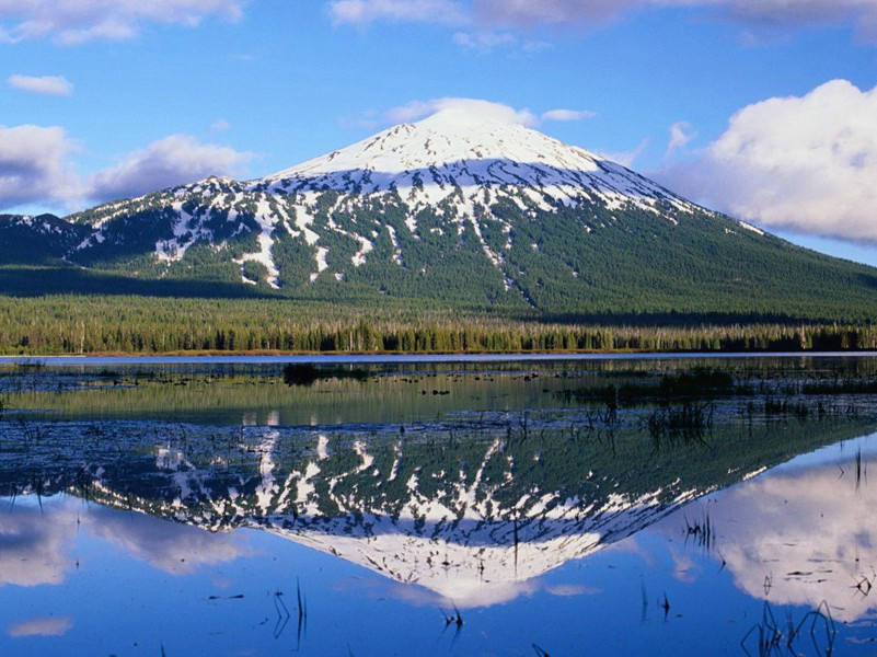 《摸鱼儿·送别德清蔡夫子》问人生头白京国)原文翻译赏析-纳兰性德诗词