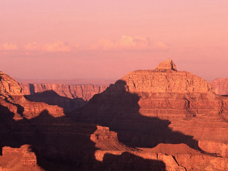 绿阴青子老溪桥,羞见东邻娇小出处意思赏析