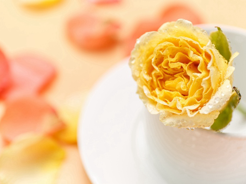 浣纱弄碧水,自与清波闲出处赏析