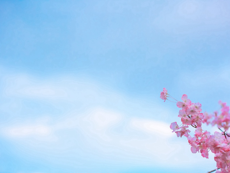 移舟泊烟渚,日暮客愁新出处翻译赏析