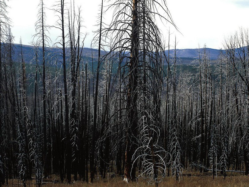 李白《宴陶家亭子》古诗翻译赏析阅读