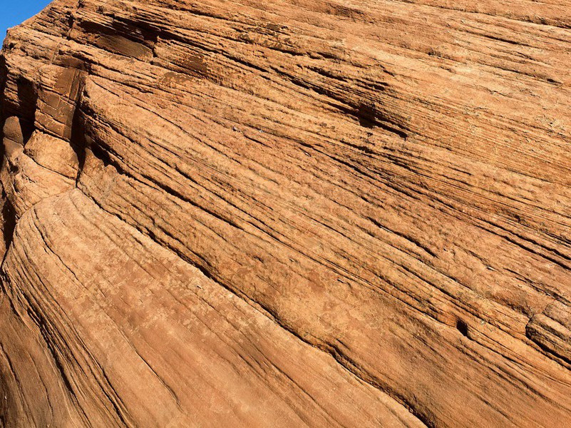 好鸟枝头亦朋友,落花水面皆文章出处意思赏析