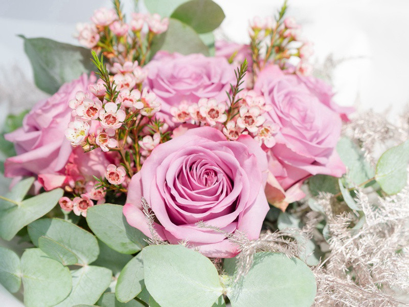 晓菊泫寒露,似悲团扇风出处意思赏析