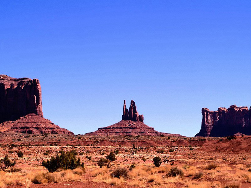 惟有相思似春色,江南江北送君归出处意思赏析